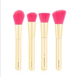 Skinny Dip Professional Contour Brush Set